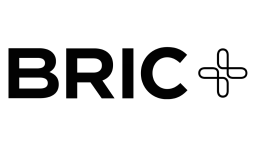 BRIC - Brandenburgisches Institut für Gesellschaft und Sicherheit